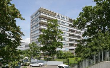 Wohnung 8.5 Zimmer - image - 1