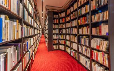 Einfamilienhaus 12 Zimmer - image - 10
