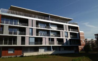 Wohnung 4.5 Zimmer - image - 7