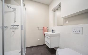 Appartement 4.5 pièces - image - 8