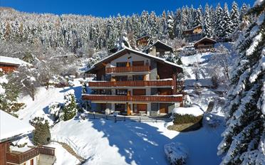 Appartement 2.5 pièces - image - 11