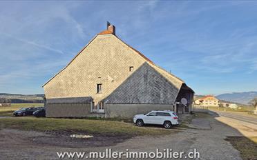 Farm house 7 rooms - image - 3