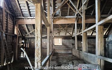 Farm house 7 rooms - image - 10