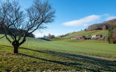 Ferme 6 pièces - image - 12