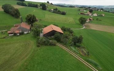 Ferme 5.5 pièces - image - 8