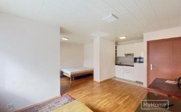 Apartment 1 room - image - 2