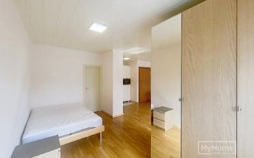 Apartment 1 room - image - 5