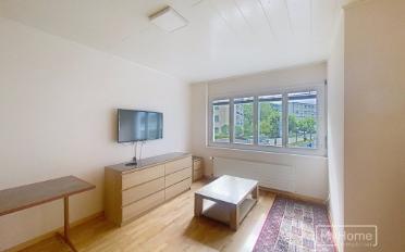 Apartment 1 room - image - 4