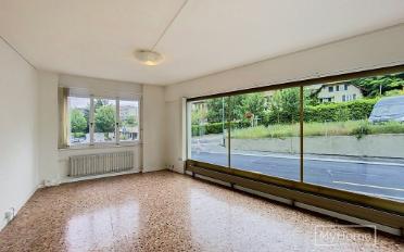 Schaufenster - image - 2