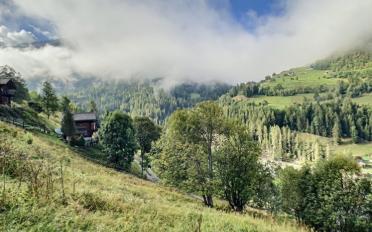 Terrain à bâtir - image - 2