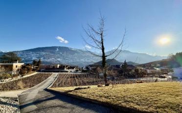 Villa 5 Zimmer - image - 3