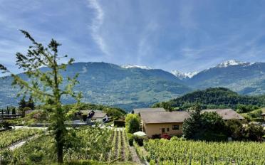 Villa 5 Zimmer - image - 6