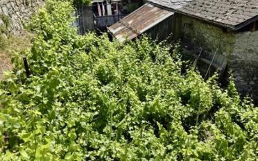 Maison - image - 4