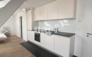 Studio 1 room - image - 2