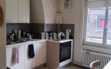 Apartment 1 room - image - 4