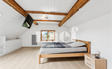 Villa 5.5 pièces - image - 6