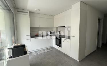 Wohnung 2.5 Zimmer - image - 1