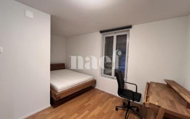 Single room 1 room - image - 3