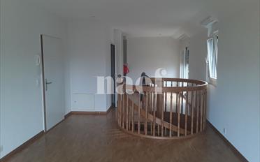 Wohnung 6 Zimmer - image - 4