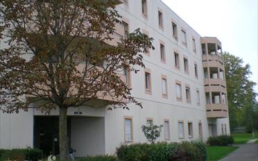 Place couverte - image - 1