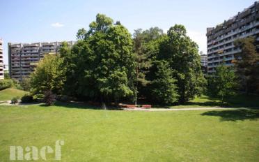 Wohnung 6 Zimmer - image - 1