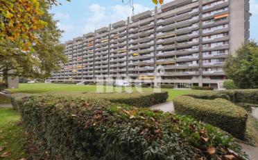Wohnung 2 Zimmer - image - 1