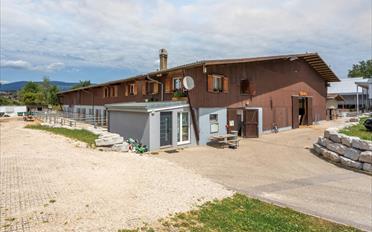 Maison 13 pièces - image - 9