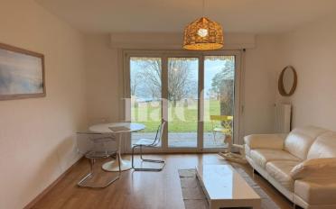 Wohnung ein Zimmer - image - 2