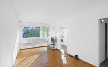 Wohnung 2.5 Zimmer - image - 5