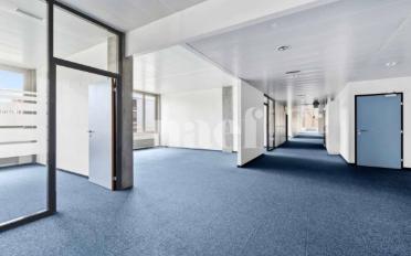 Office 5 rooms - image - 3