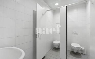 Office 5 rooms - image - 7