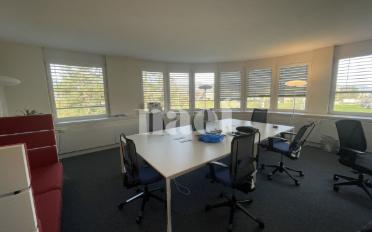 Office 4 rooms - image - 5