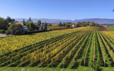 Appartement 3 pièces - image - 3