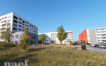 Place couverte - image - 1
