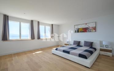 Single house 8 rooms - image - 9