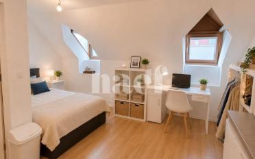 Wohnung ein Zimmer - image - 3