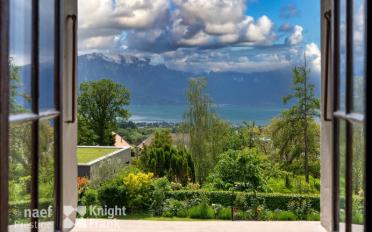 Villa 10 Zimmer - image - 3