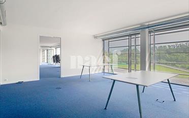 Bureau 4 pièces - image - 6