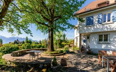 Villa 12.5 Zimmer - image - 3