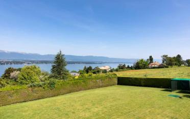 Villa 10 Zimmer - image - 4