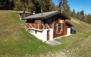 Chalet 4 pièces - image - 9