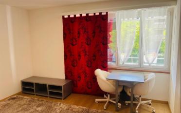 Furnished flat 1 room - image - 3