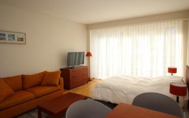 Appartement meublé 1 pièce - image - 5