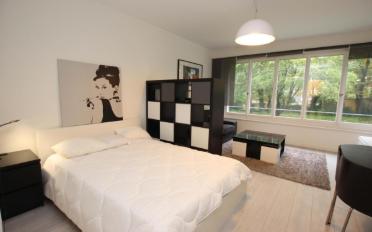 Appartement meublé 1.5 pièces - image - 1