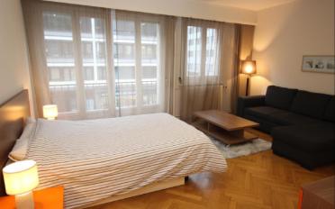 Furnished flat 1 room - image - 2