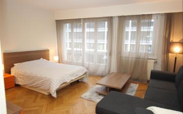 Furnished flat 1 room - image - 1
