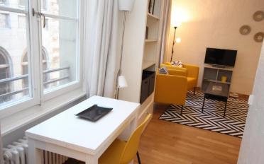 Furnished flat 1 room - image - 6