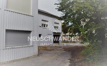 Immeuble mixte - image - 6