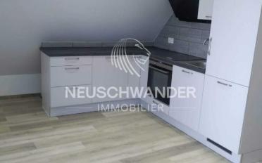 Einfamilienhaus 12.5 Zimmer - image - 4