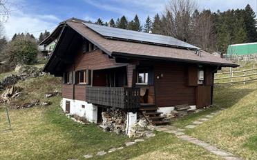Chalet 3.5 pièces - image - 1